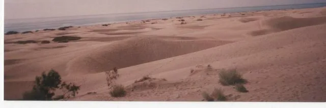 Canarias 2004 — foto 6